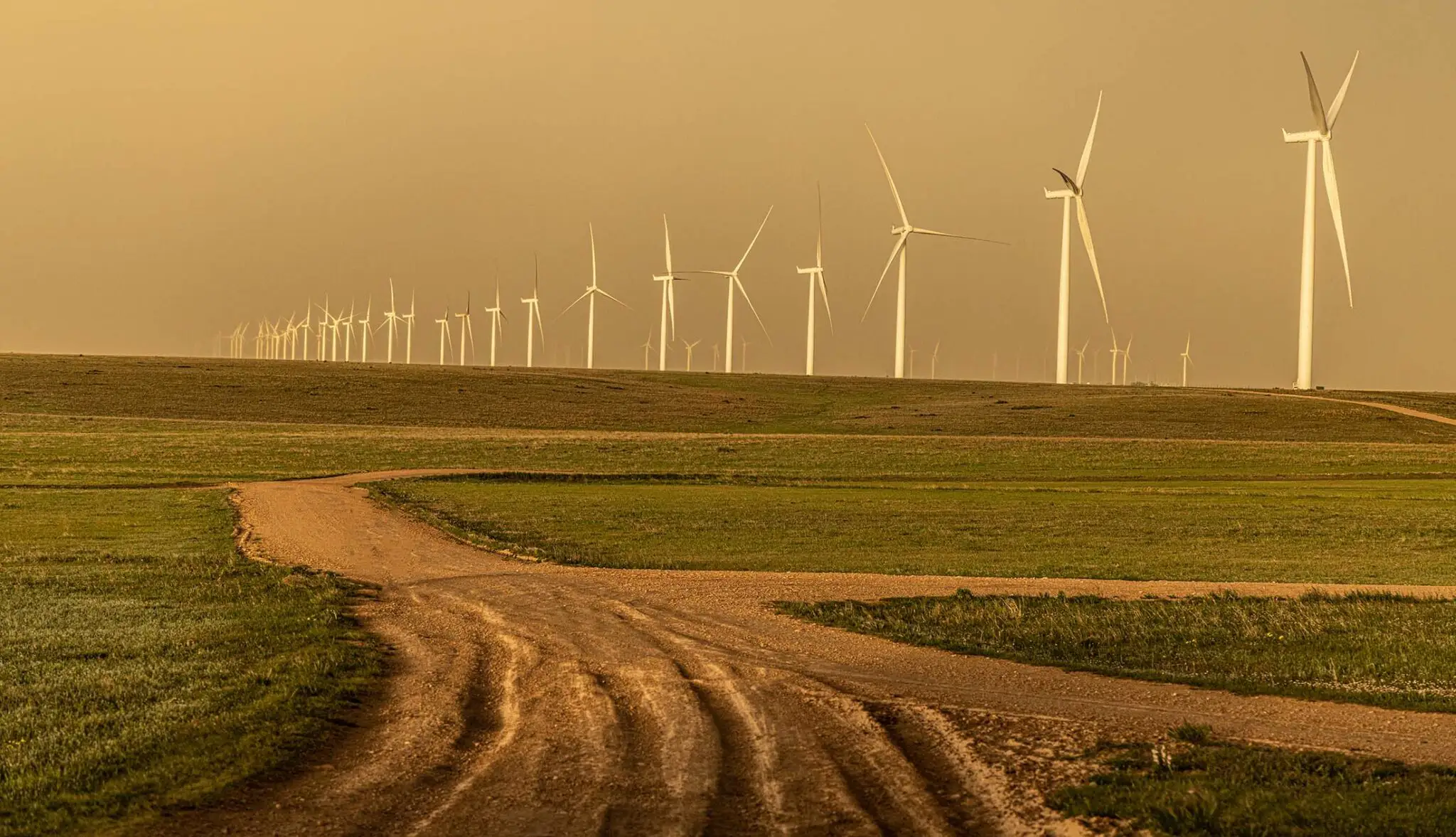 Wind turbines stretching across the Texas plains alongside a winding ranch road at sunset.