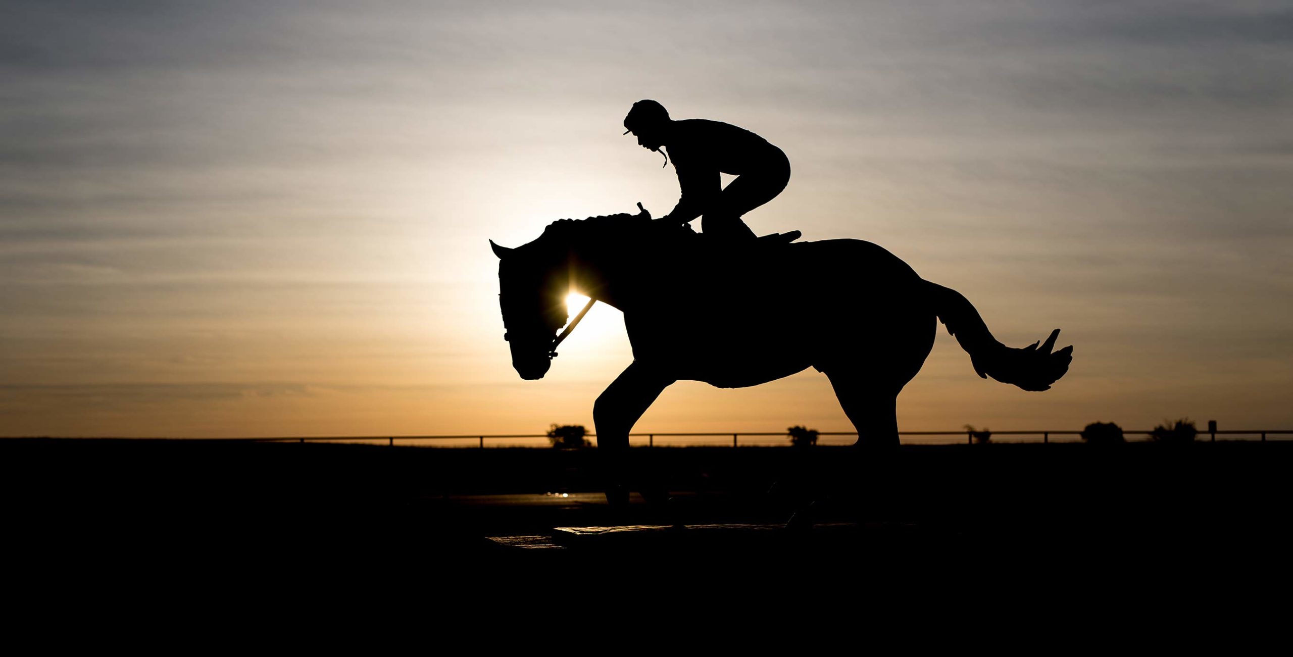 Four Sixes Ranch heritage sculpture depicting a horse and rider silhouetted at sunset, symbolizing the legacy, pedigree, horsemanship, and ranching traditions that define the historic 6666 Ranch in Texas.