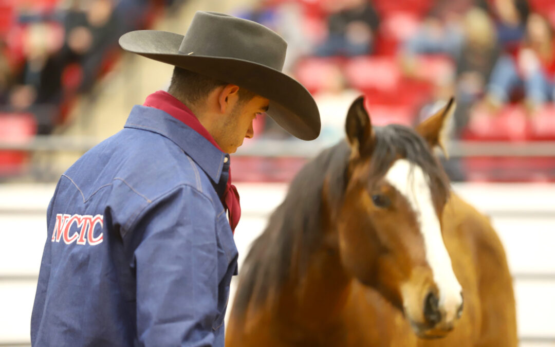 Texas College Takes Top Honors at Road to the Horse Collegiate Colt Starting Challenge
