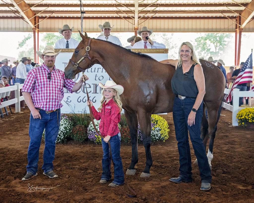 Return to the Remuda sets record for highest ranch gelding sold at