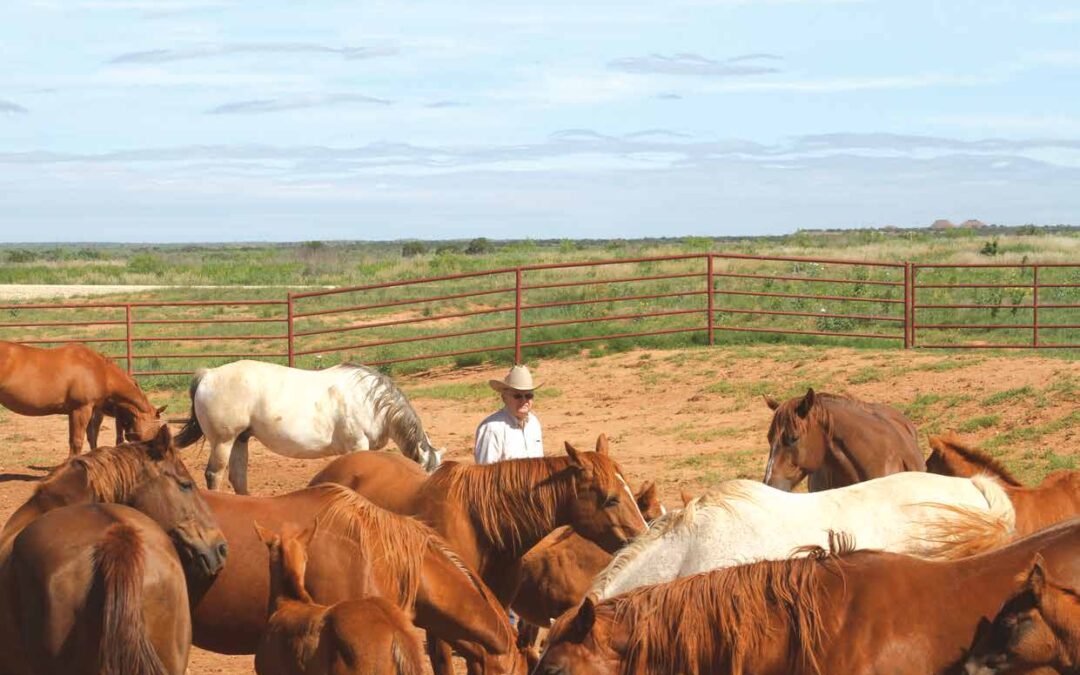 Ranch Work