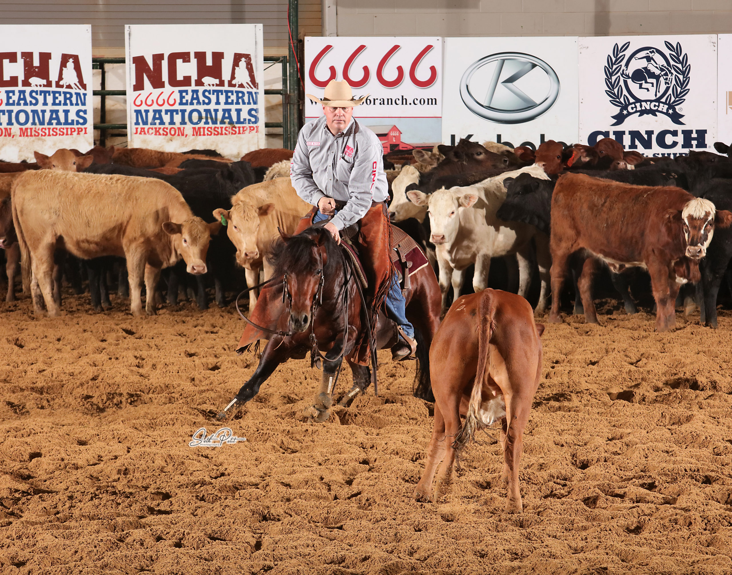 Bamacat and his rider during a cutting horse competition at NCHA Eastern Nationals.