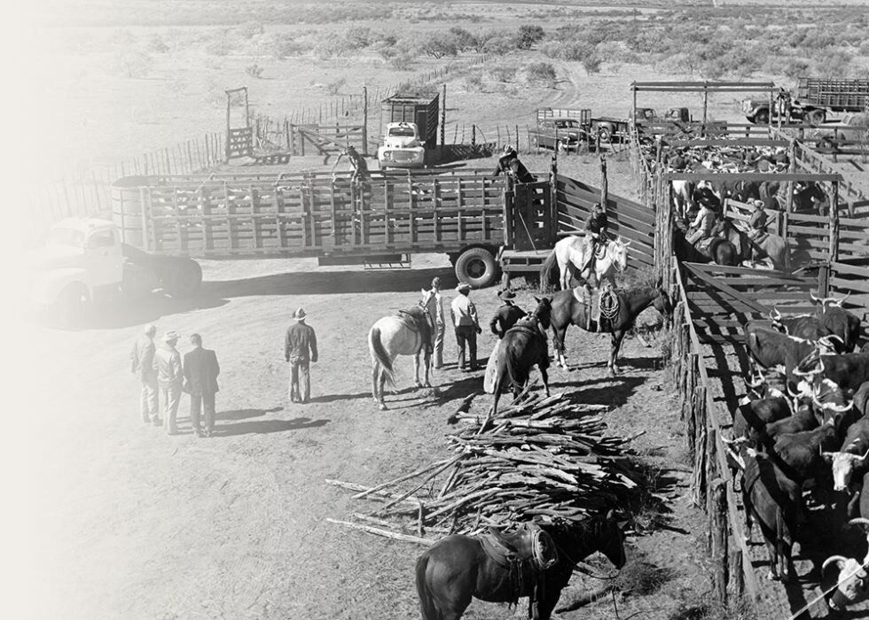 Burnett Ranches Home - 6666 Ranch