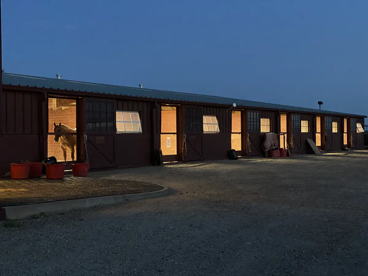 Row of horse stalls illuminated at dusk, with a horse visible inside one stall and warm barn lights glowing against the evening sky.