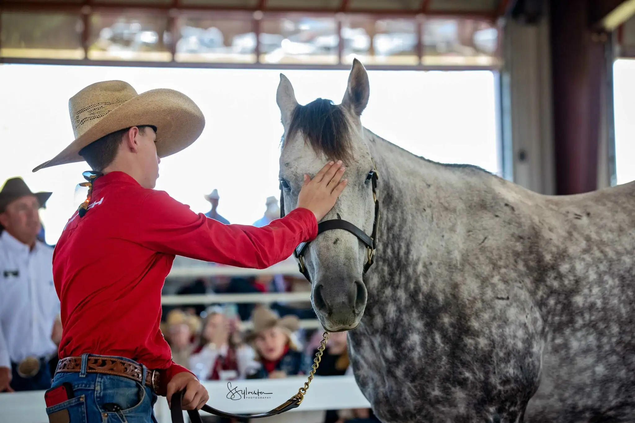 Handler presents a gray Quarter Horse during a performance horse sale in an indoor auction arena.