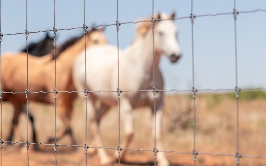 The historic Four Sixes Ranch announces a new partnership with STAY-TUFF FENCE 