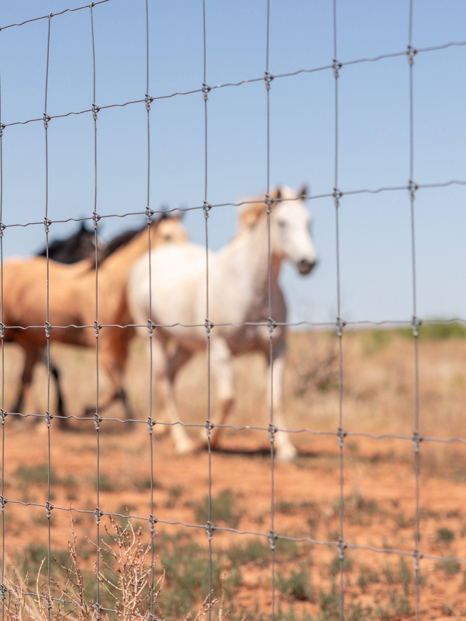 The historic Four Sixes Ranch announces a new partnership with STAY-TUFF FENCE 