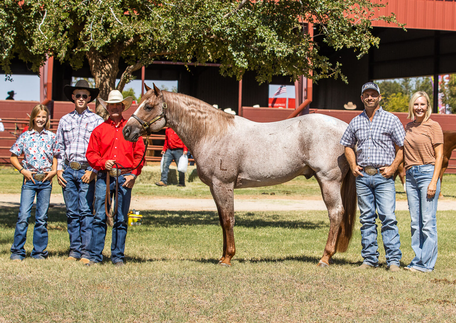 Return to the Remuda Sale 6666 Ranch