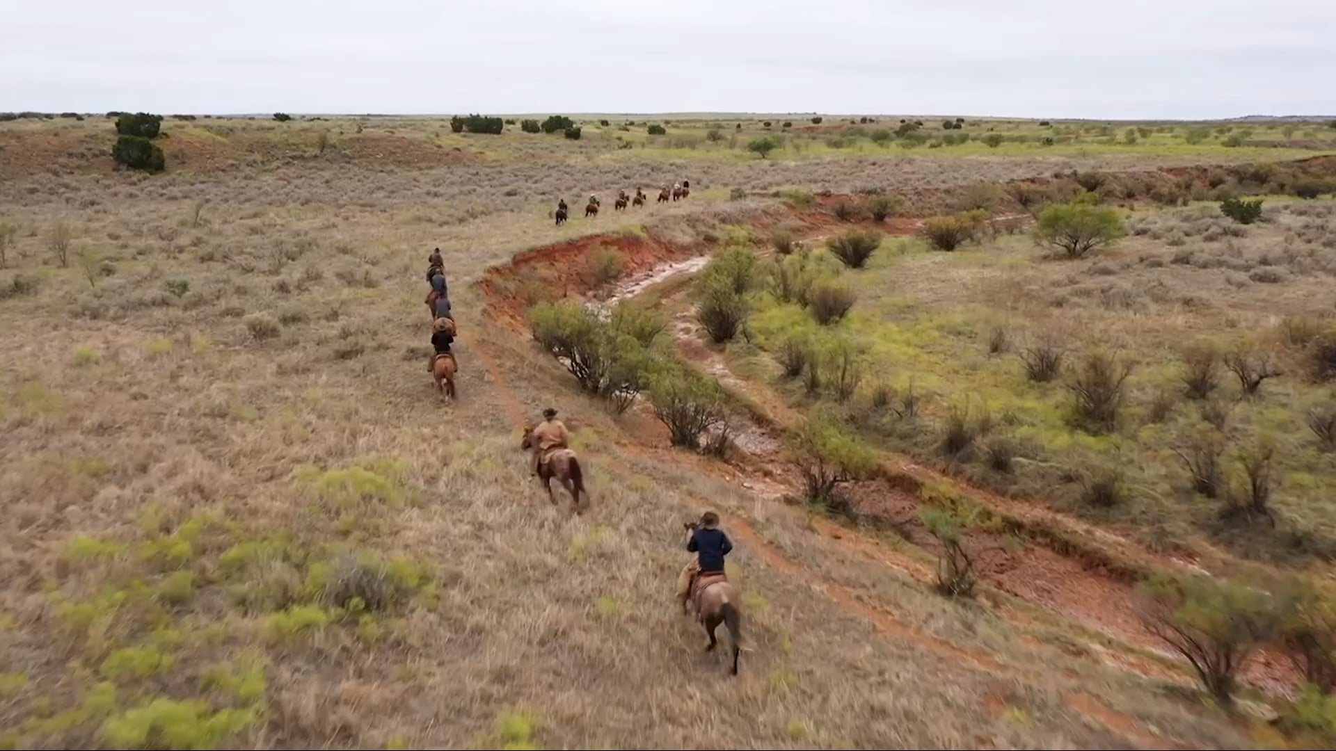 6666 Ranch - Legendary Quarter Horses and Black Angus Cattle